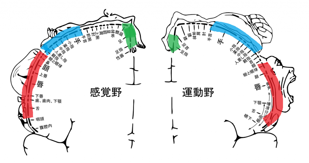  名張市整骨院やすらぎ Bildidee 