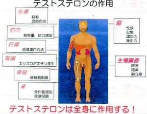 名張市整骨院伊賀市鍼灸腰痛肩こり交通事故治療膝痛頭痛