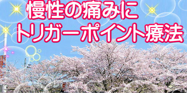 名張市整骨院接骨院腰痛肩こり伊賀市鍼灸骨盤矯正施術アクセス518体治療症状予約相談駐車場スペース別キッズ