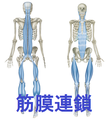 腰痛肩こり体の症状治療施術名張市整骨院アクセス518相談予約駐車場スペース別キッズ　