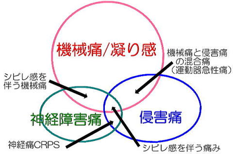 名張市整骨院接骨院腰痛肩こり交通事故伊賀市鍼灸骨盤矯正50肩40肩頭痛施術アクセス518体治療症状予約相談駐車場スペース別キッズ