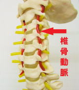 首のボキボキ矯正は危険 名張市整骨院やすらぎ